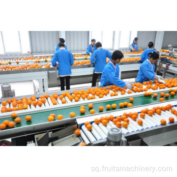 Makinë për klasifikimin e gradimit të domates me vidhos me transportues me transportues